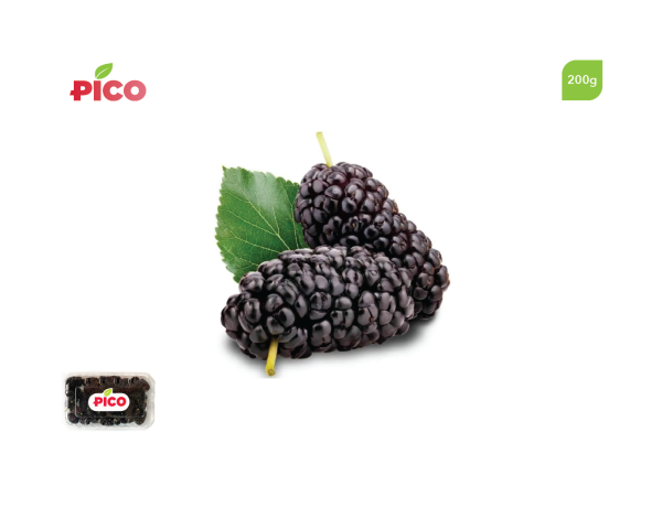 Black Mulberries – 200g