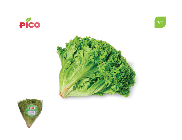 Lollo Bionda Lettuce – 1pc