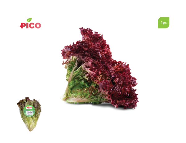 Lollo Rosso Lettuce – 1pc