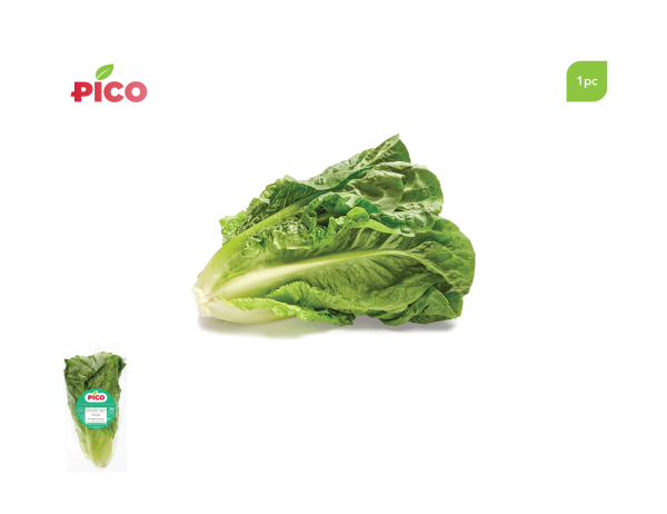 Romaine Lettuce – 1pc