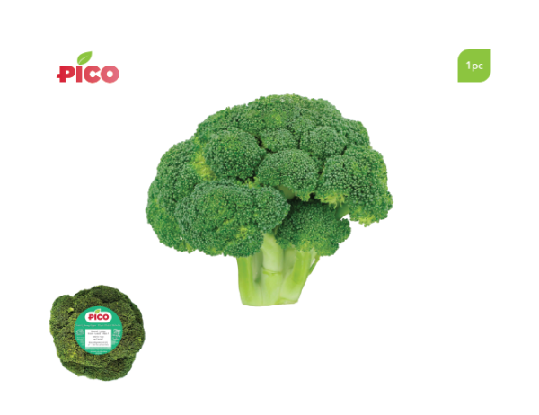 Broccoli – 1pc